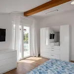 Pet Friendly In * Ičići